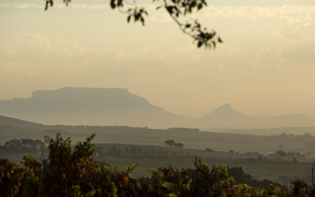 Best of Cape Town